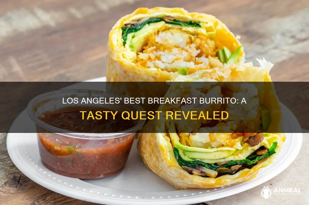 who has the best breakfast burrito in los angeles