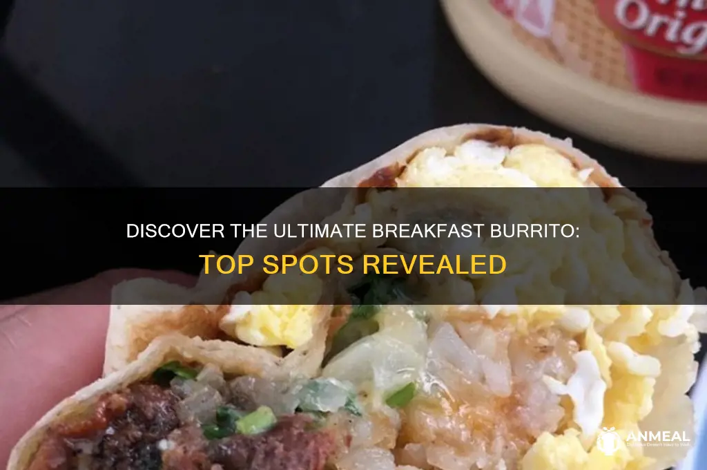 who has the best breakfast burritos