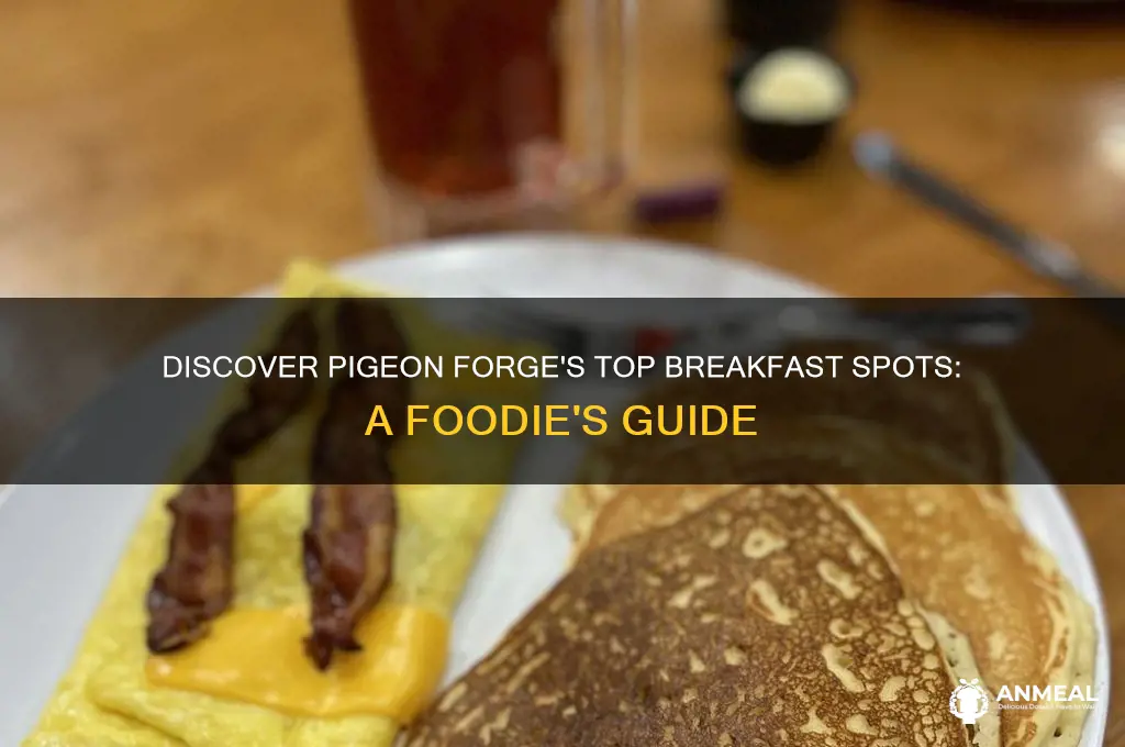 who has the best breakfast in pigeon forge tn