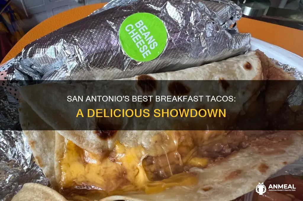 who has the best breakfast tacos in san antonio