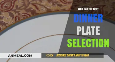 Discover the Top Dinner Plate Collections for Every Dining Style