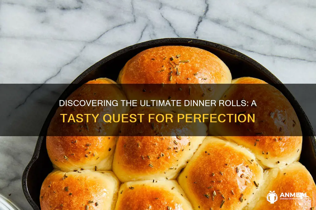who has the best dinner rolls