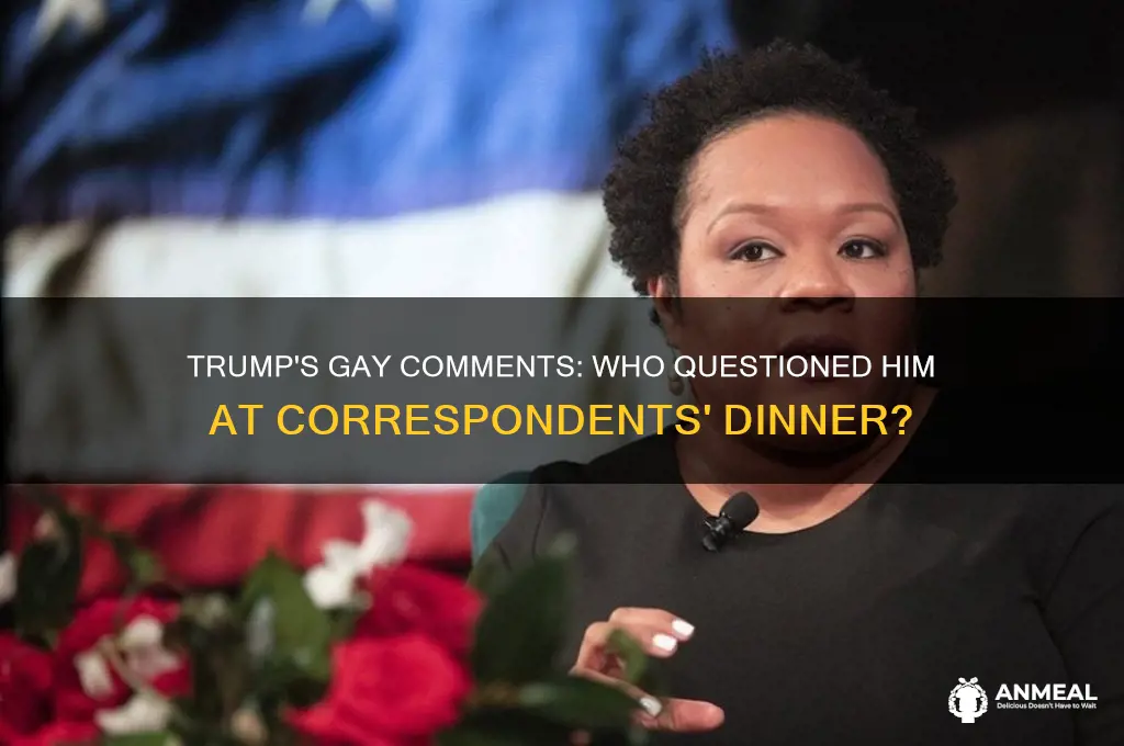 who interviewed trump re gay comments at correspondents dinner