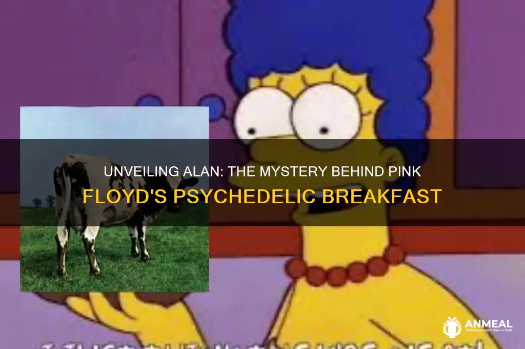 who is alan from alan