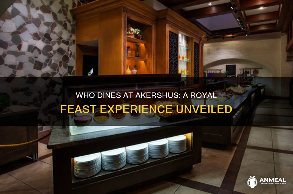 who is at akershus dinner