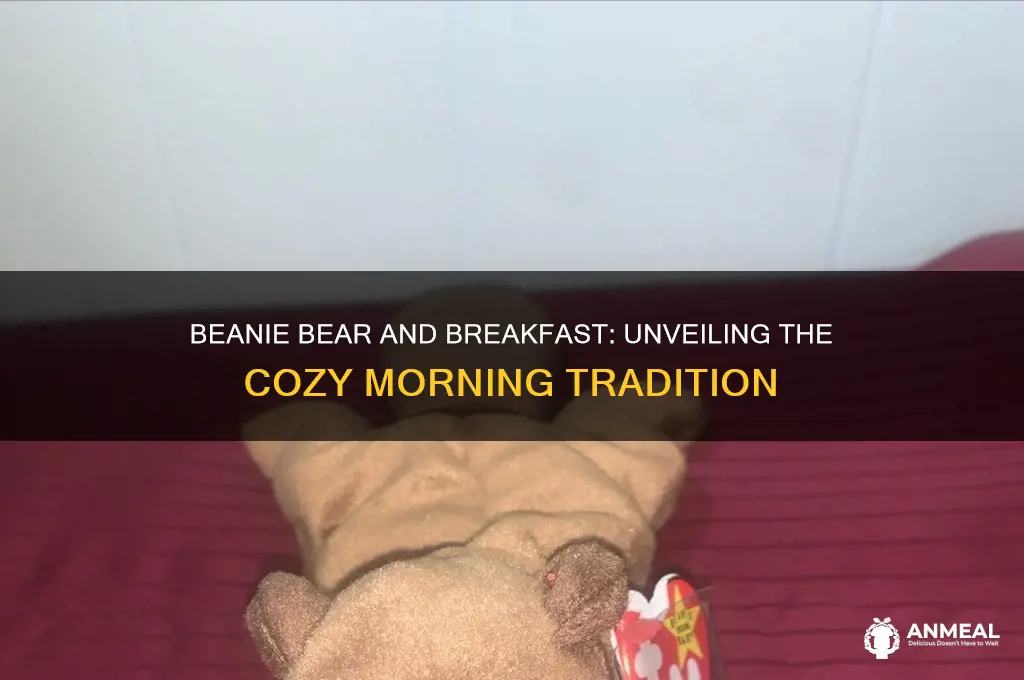who is beanie bear and breakfast