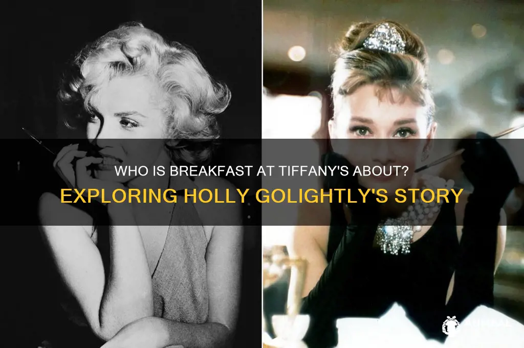 who is breakfast by tiffanys by