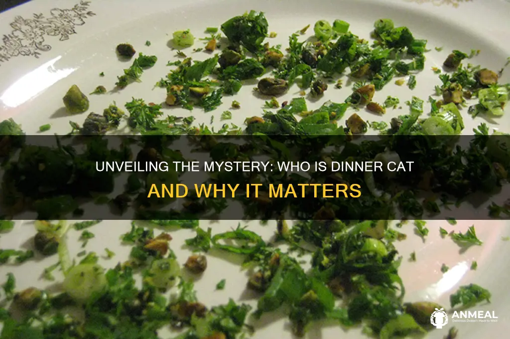 who is dinner cat