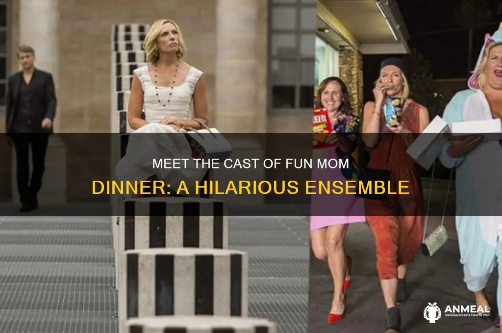 who is in fun mom dinner