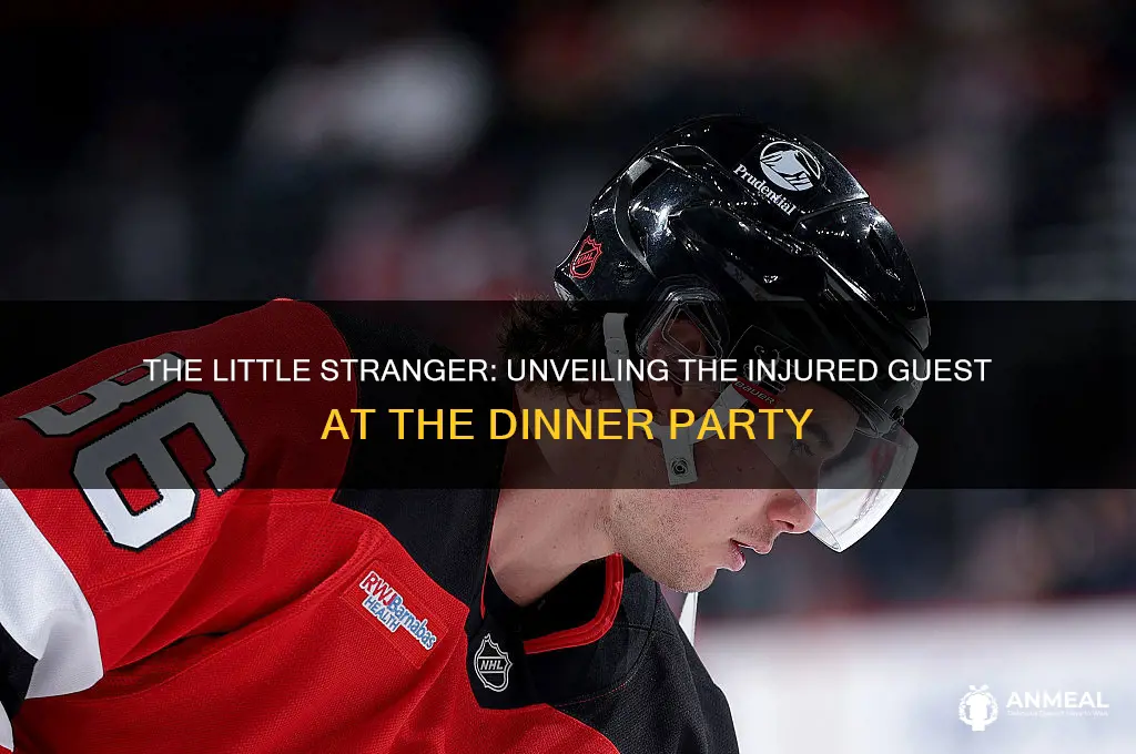 who is injured at the dinner party the little stranger