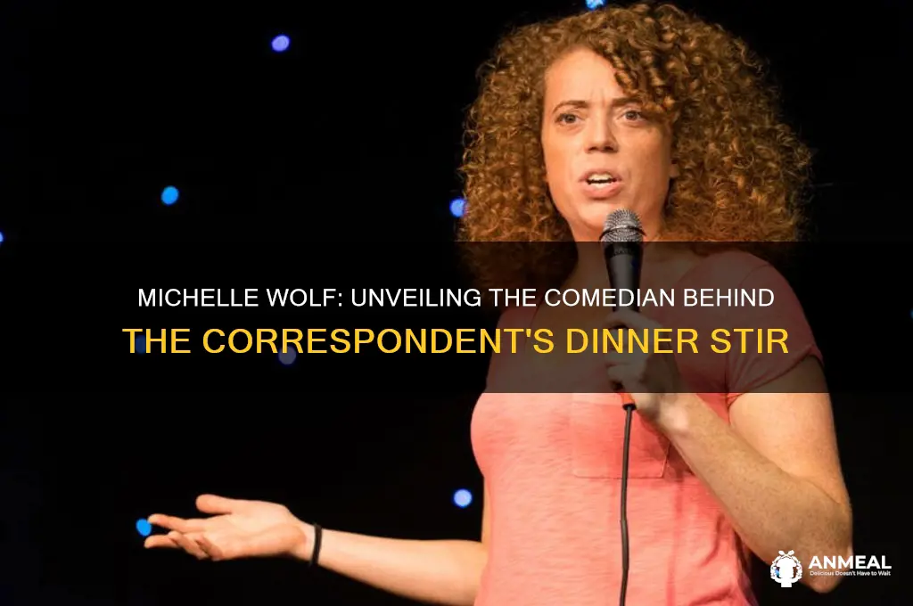 who is michelle wolf who was at correspondent dinner