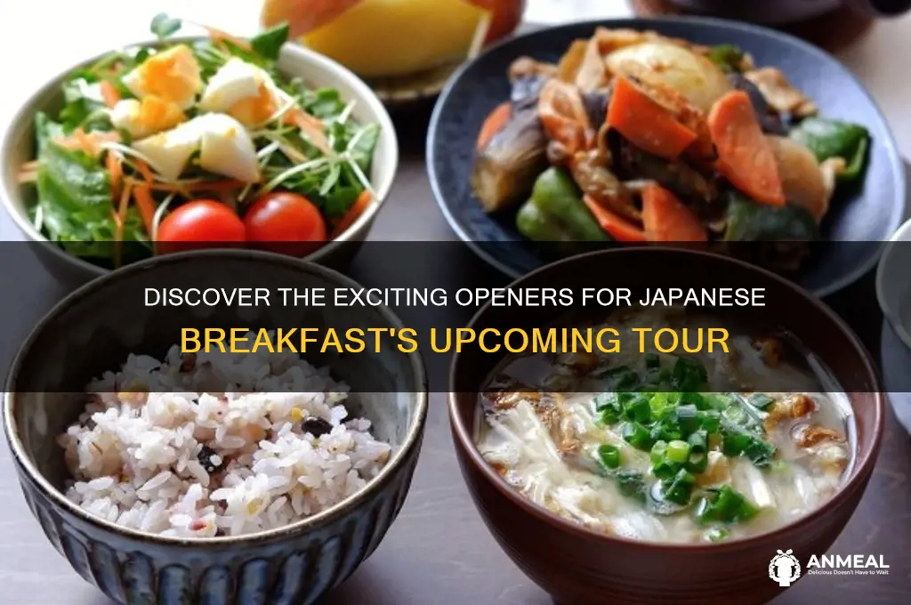 who is opening for japanese breakfast