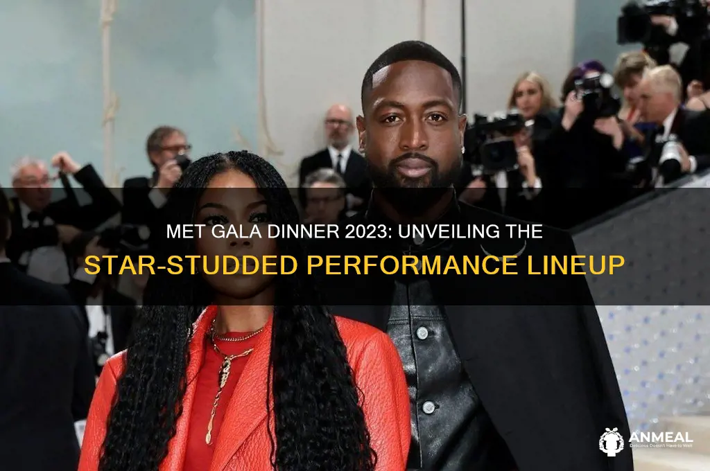 who is performing at the met gala dinner