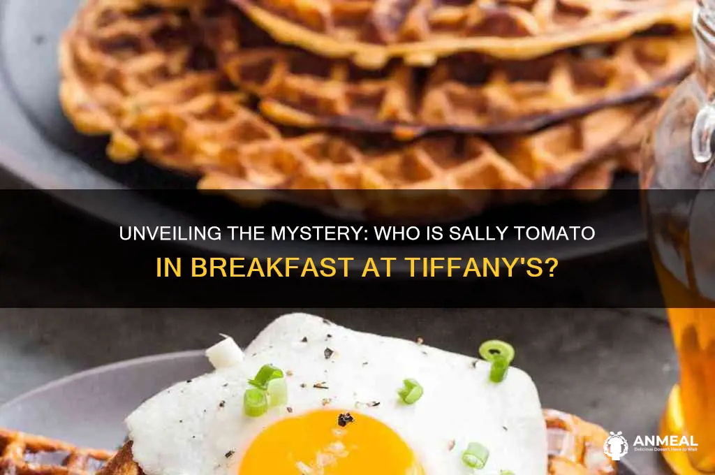who is sally tomato in breakfast at tiffany