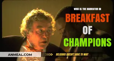 Unveiling the Narrator's Identity in Breakfast of Champions