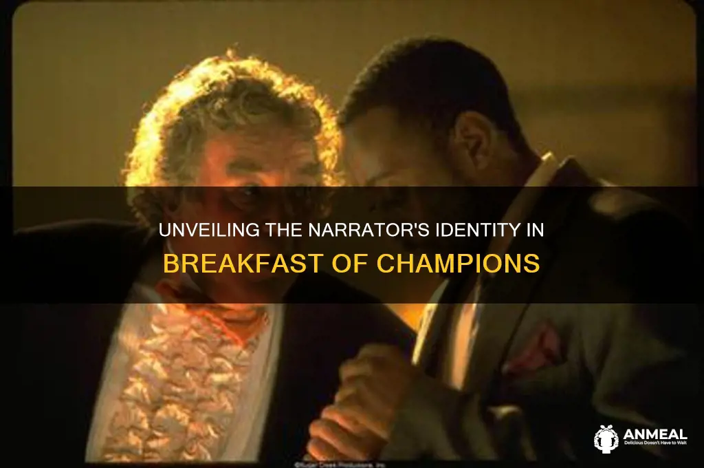 who is the narrator in breakfast of champions