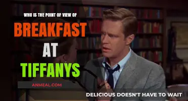 Unveiling the Narrator's Perspective in Breakfast at Tiffany's