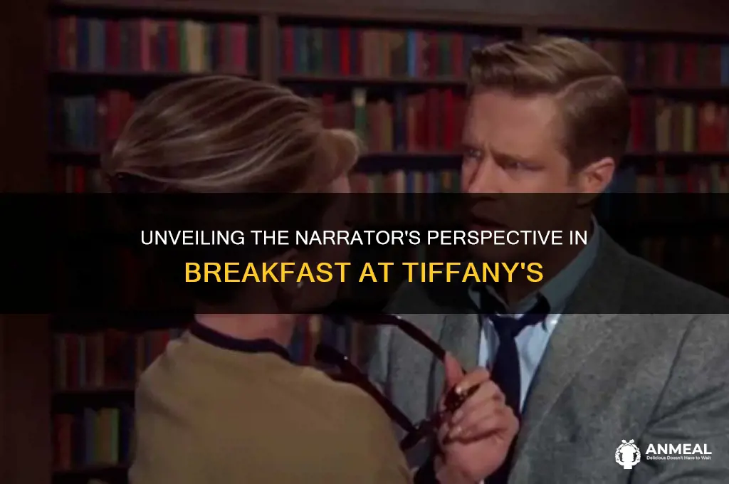 who is the point of view of breakfast at tiffanys