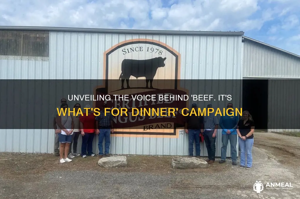 who is the voice of beef it what for dinner