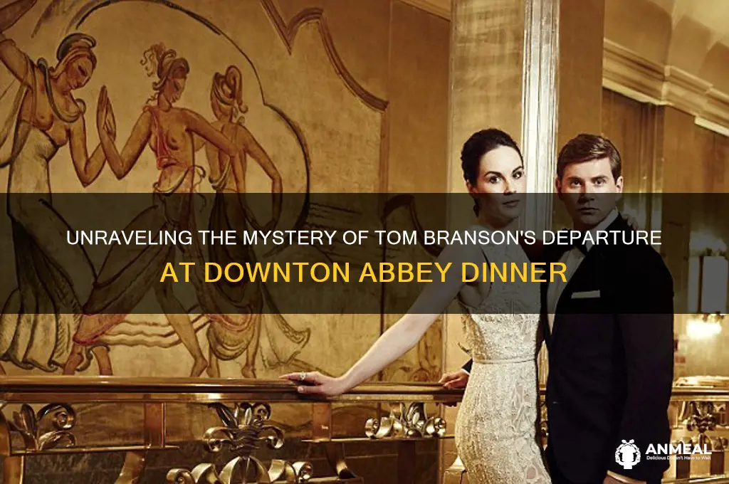 who is tom who leaves the dinner at downton abbey