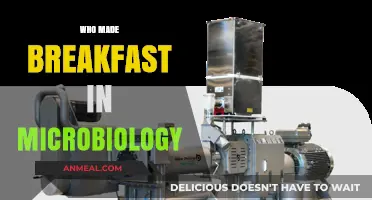 Microbial Breakfast Makers: Unveiling the Tiny Chefs Behind Morning Meals