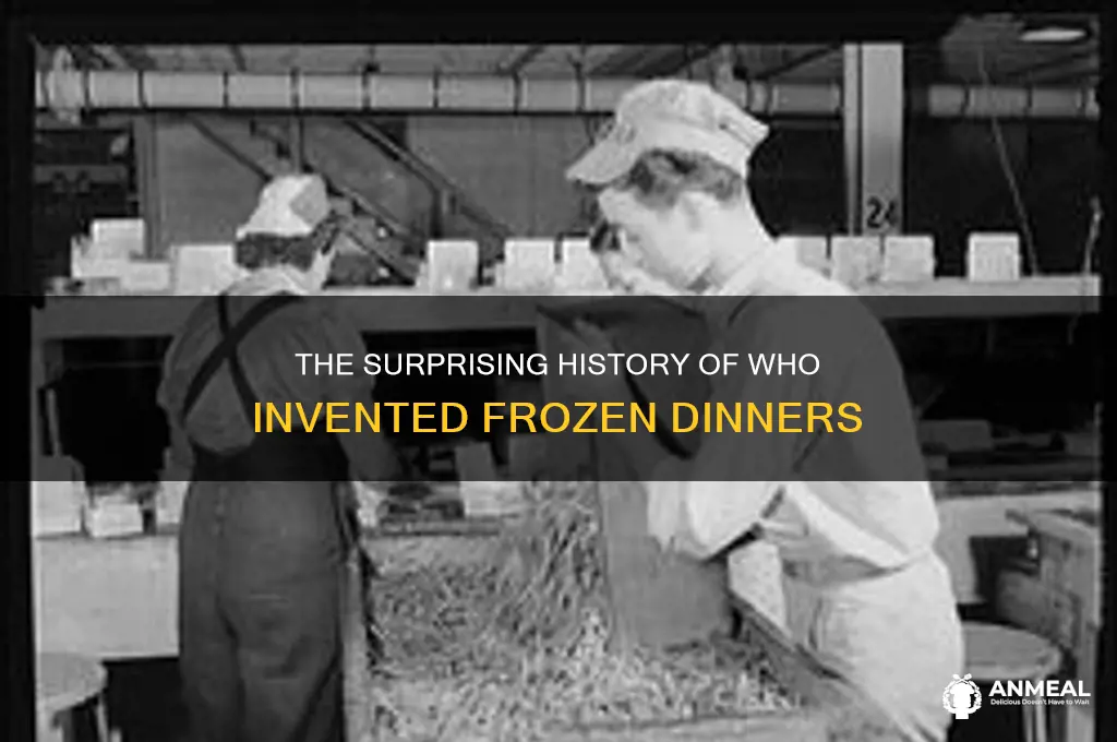 who made frozen dinner