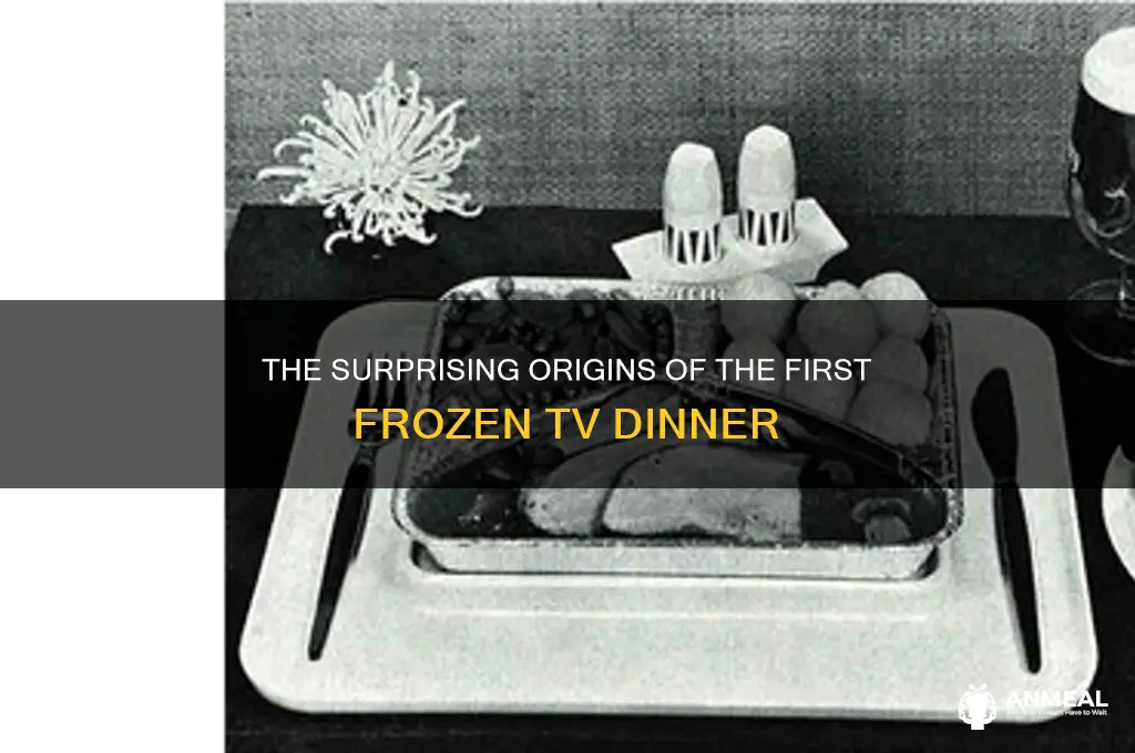 who made the first frozen tv dinner