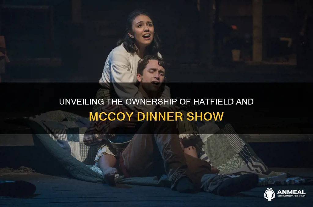 who owns hatfield and mccoy dinner show in pigeon forge