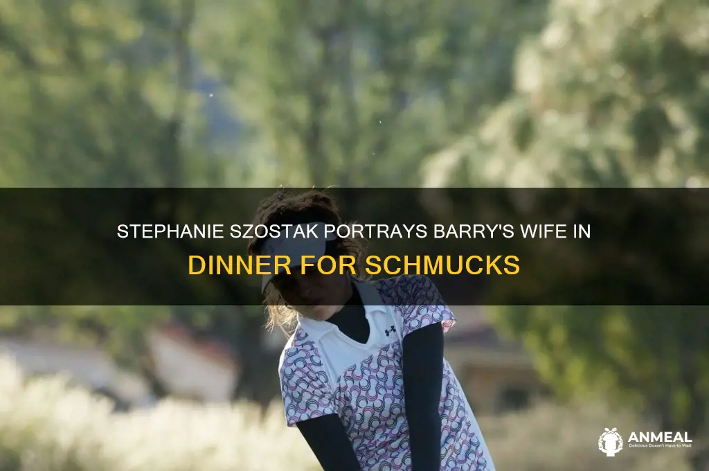 who played barrys wife in dinner for schmucks