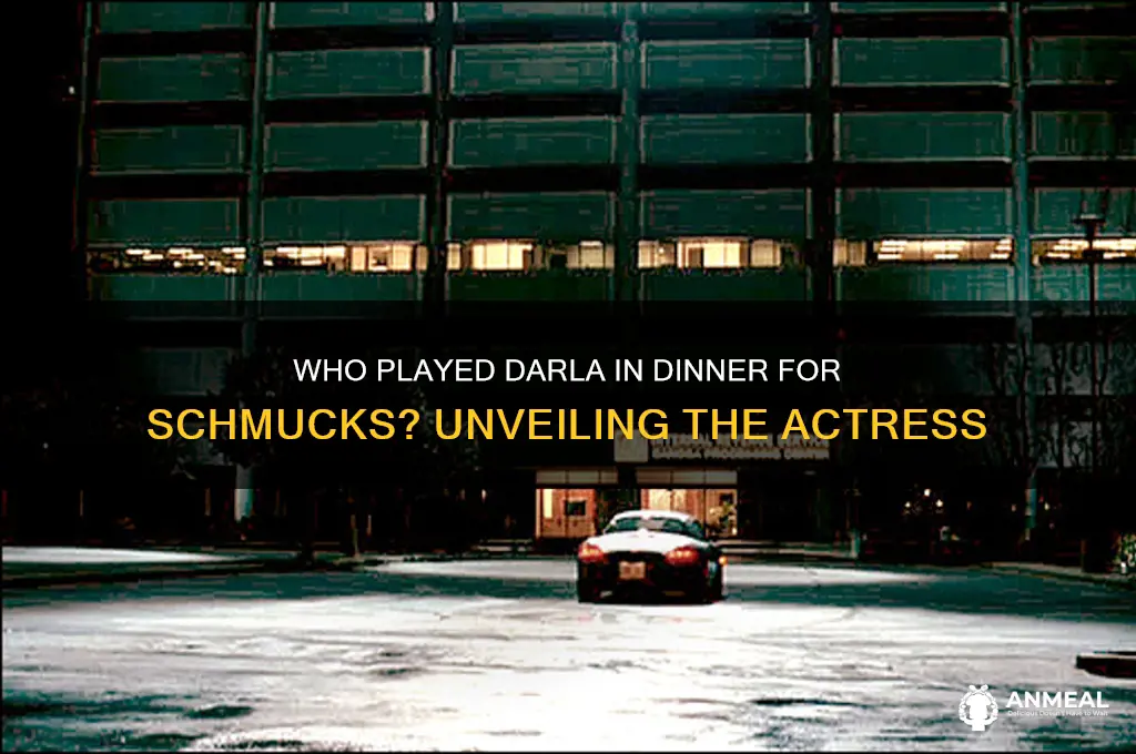 who played darla in dinner for schmucks