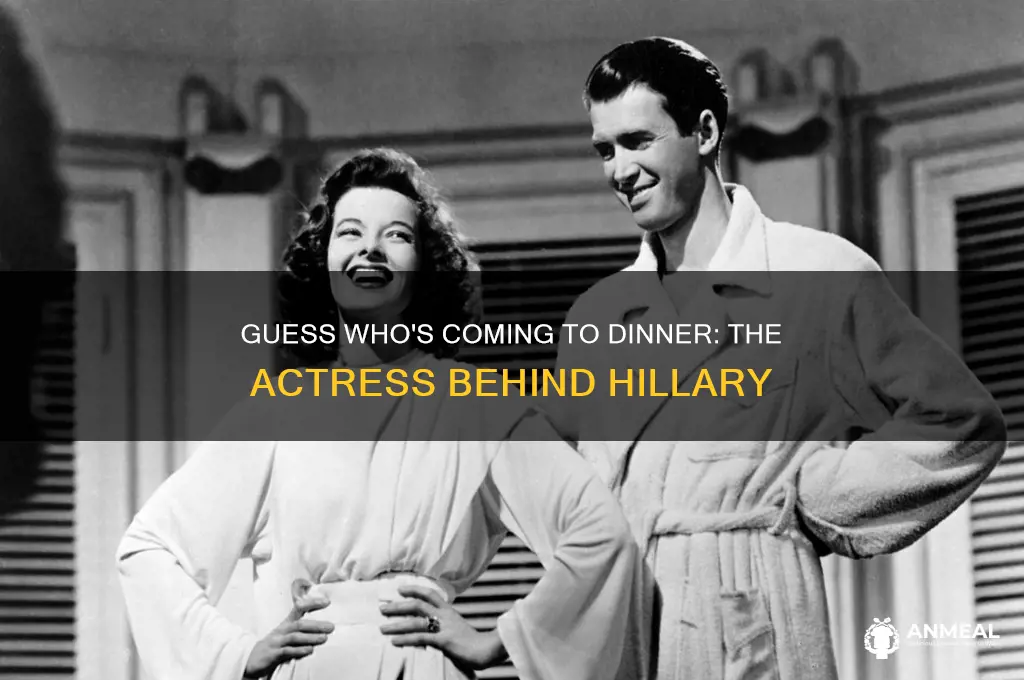 who played hillary in guess who