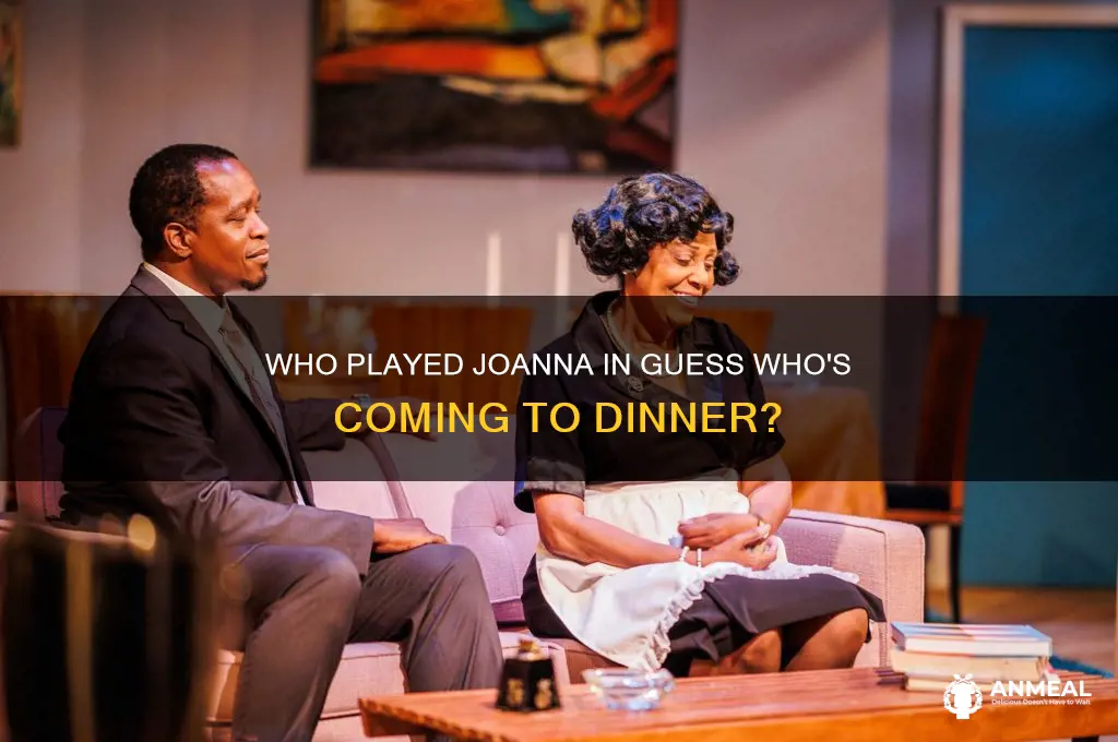 who played joanna in guess who