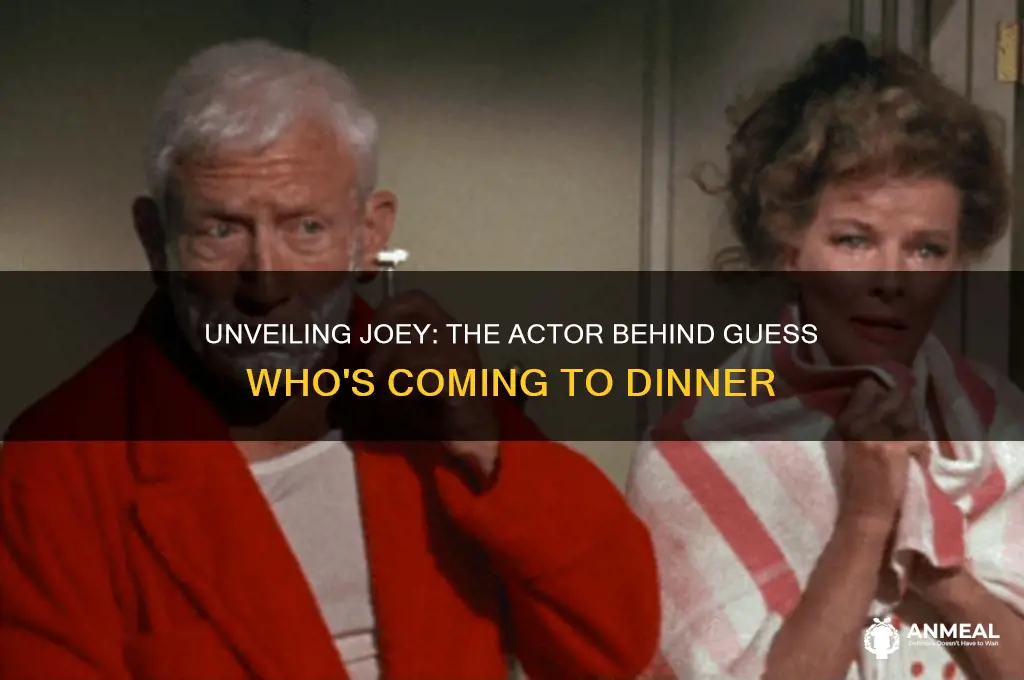 who played joey in guess who