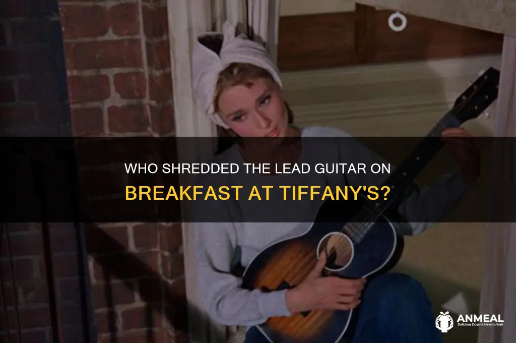 who played lead guitar on breakfast at tiffany