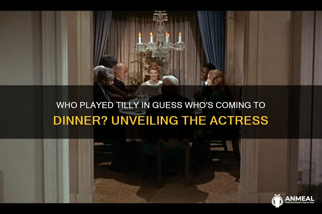 who played tilly in guess who