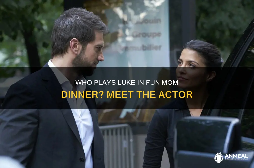 who plays luke in fun mom dinner
