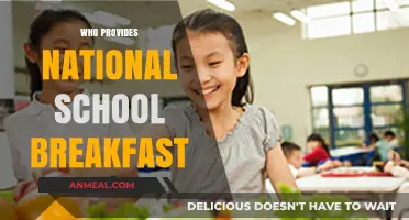 Who Provides National School Breakfast: Key Partners and Programs