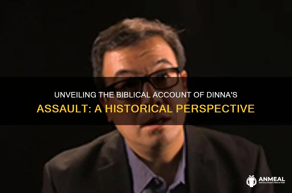 who raped dinna in tbe bible