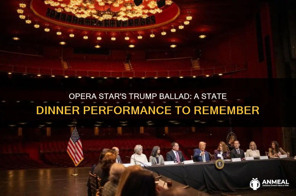 who sang a ballad to trump during state dinner