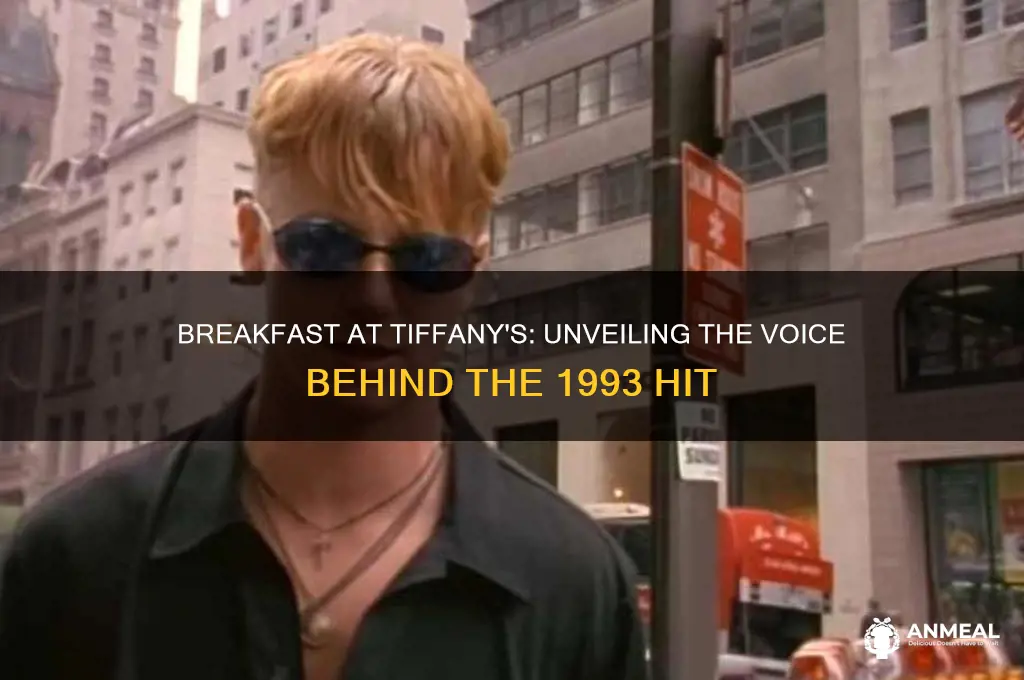 who sang the 1993 hit breakfast at tiffany