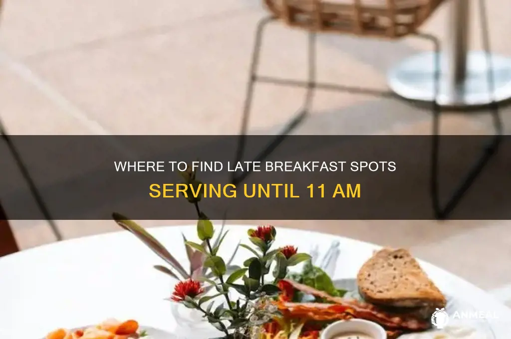 who sells breakfast until 11