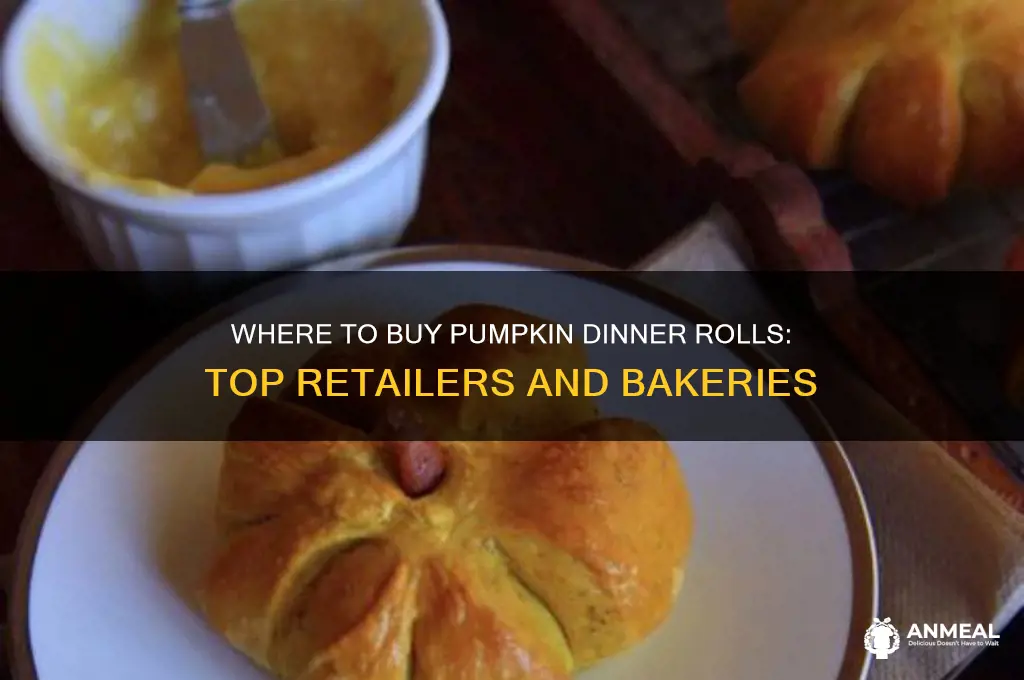 who sells pumpkink dinner rolls