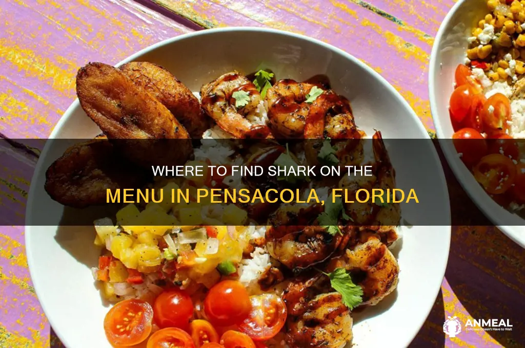 who sells shark for dinner in pensacola fl