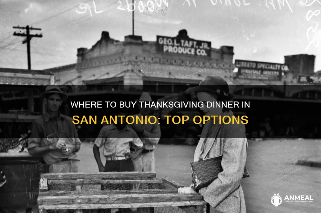 who sells thanksgivinv dinner in san antonio