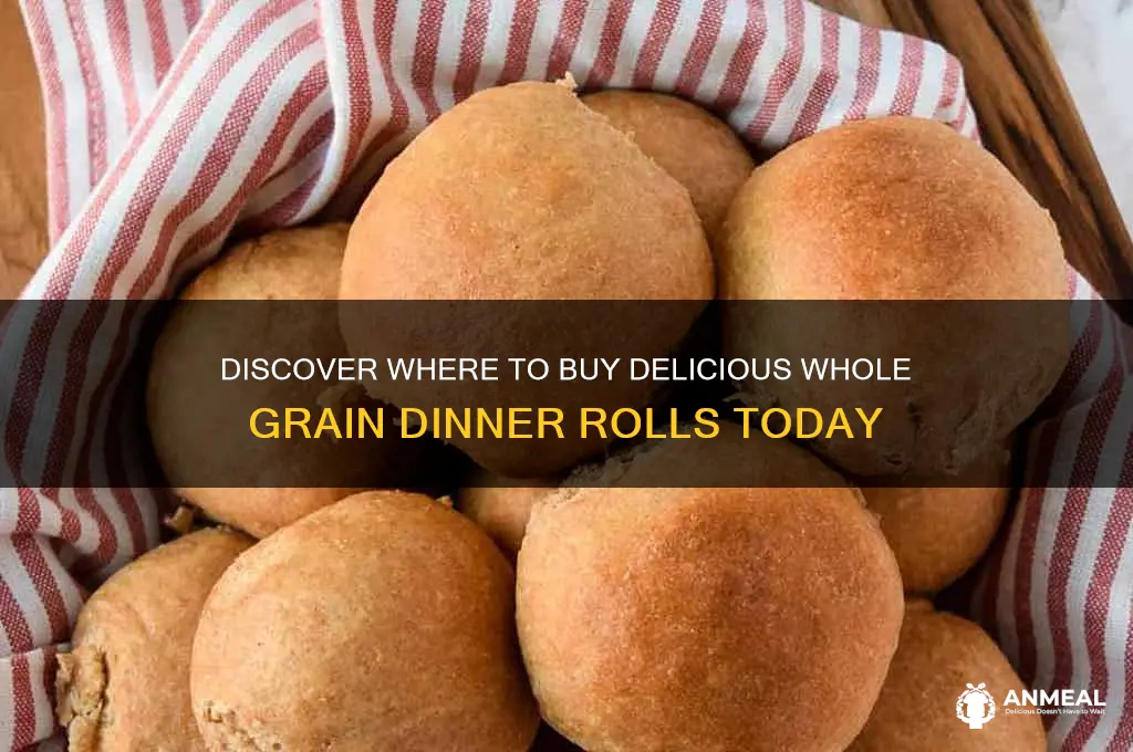 who sells whole grain dinner rolls