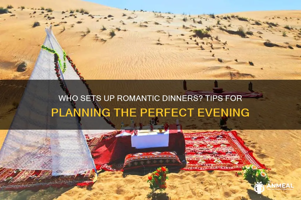 who sets up romantic dinner