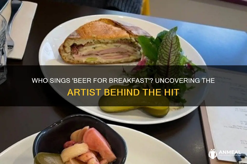 who sings beer for breakfast