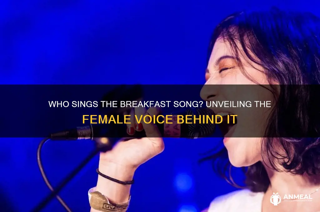 who sings breakfast song female