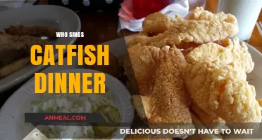 Who Sings Catfish Dinner? Uncovering the Voice Behind the Catchy Tune