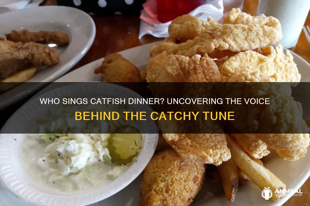 who sings catfish dinner